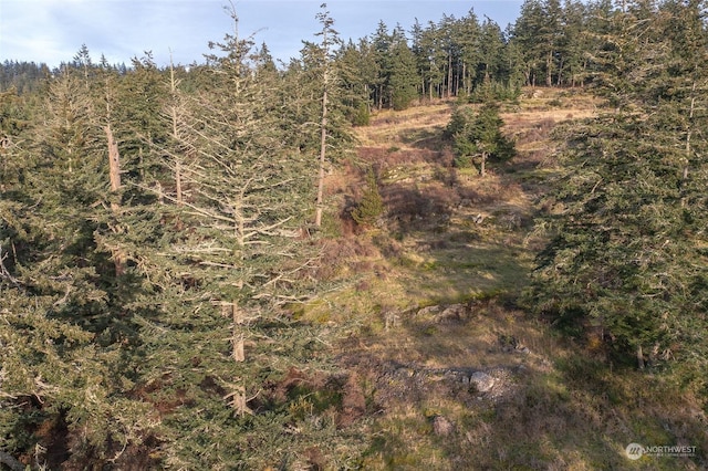 02 NW Rustic Homestead Ln, Orcas Island, WA 98280