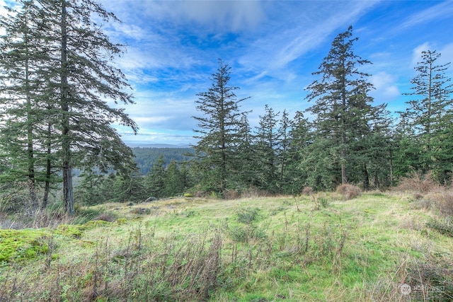 02 NW Rustic Homestead Ln, Orcas Island WA, 98280 land for sale