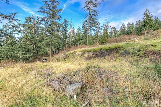 02 NW Rustic Homestead Ln, Orcas Island, WA 98280
