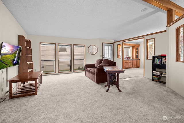 living room featuring light carpet and a textured ceiling