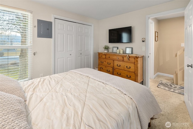 bedroom with a closet, electric panel, baseboards, and carpet flooring