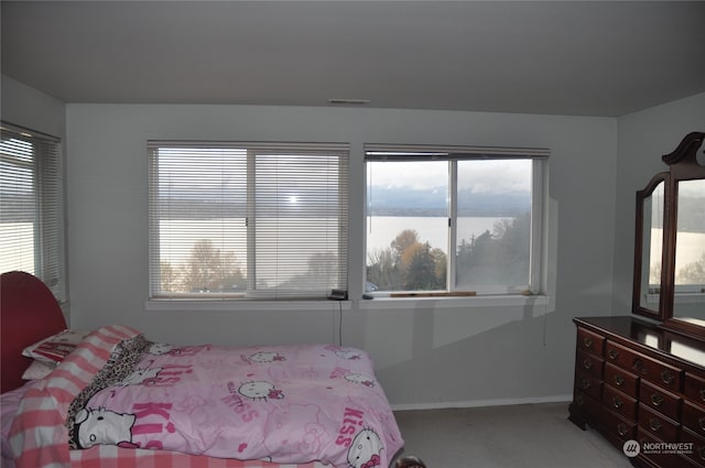 bedroom featuring carpet and multiple windows