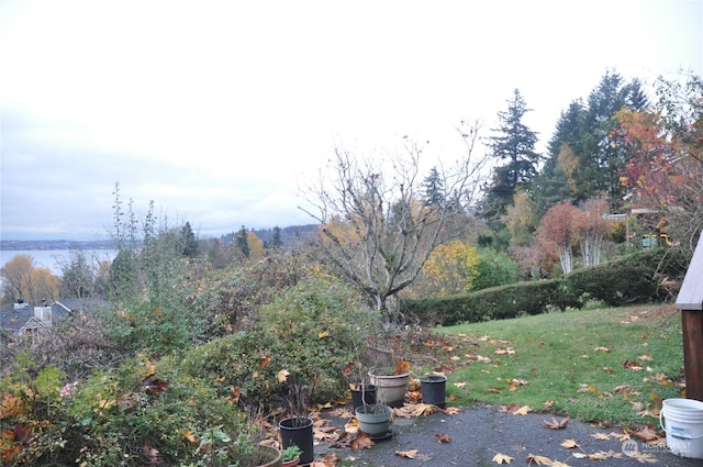 view of yard with a water view