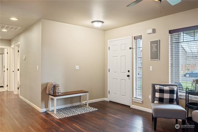 entrance foyer featuring dark hardwood / wood-style floors, ceiling fan, and a healthy amount of sunlight