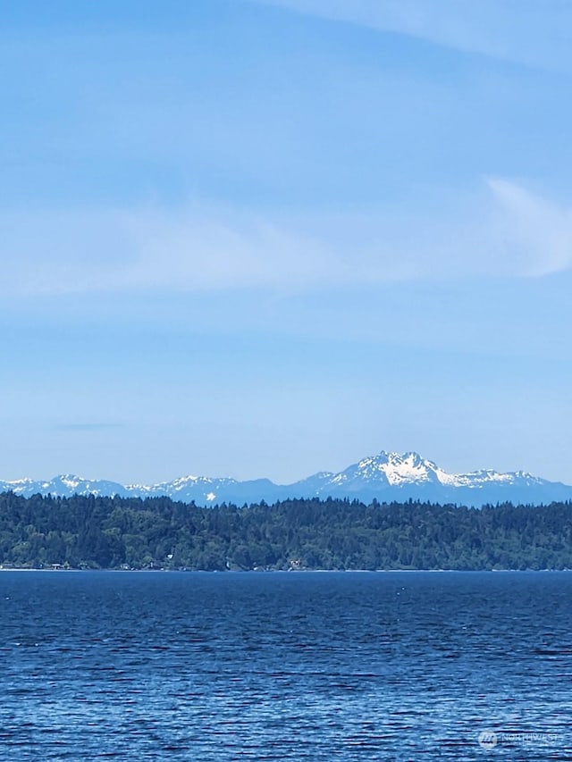 15825 Maplewild Ave SW, Burien, WA 98166 - photo 2