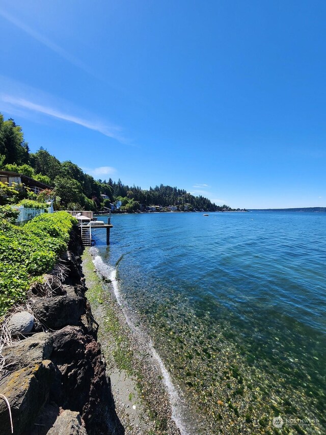 15825 Maplewild Ave SW, Burien, WA 98166 - photo 4