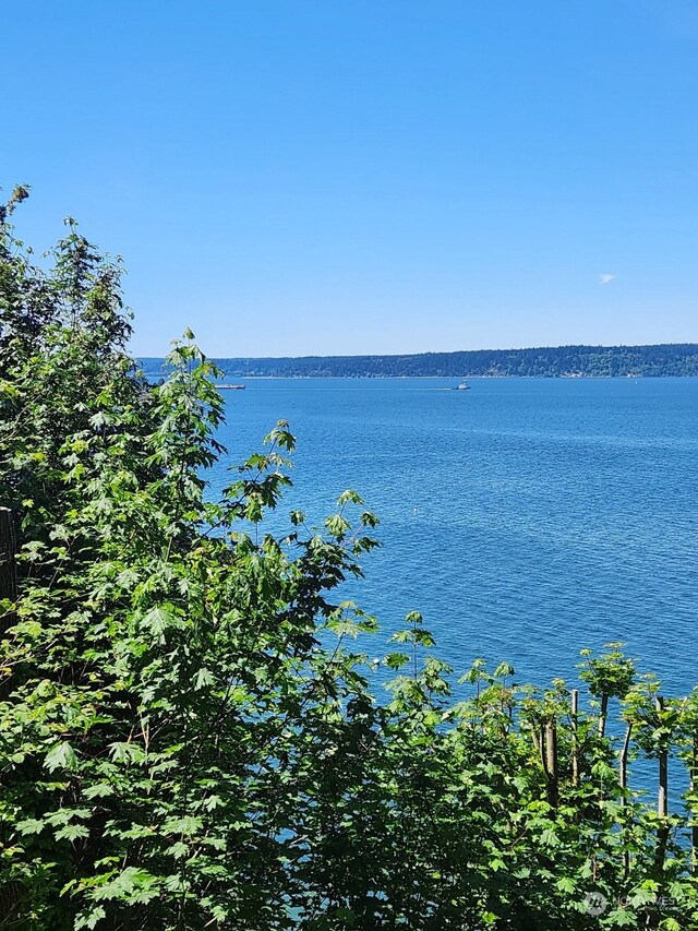 15825 Maplewild Ave SW, Burien, WA 98166 - photo 8