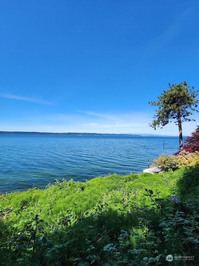 15825 Maplewild Ave SW, Burien, WA 98166 - photo 9
