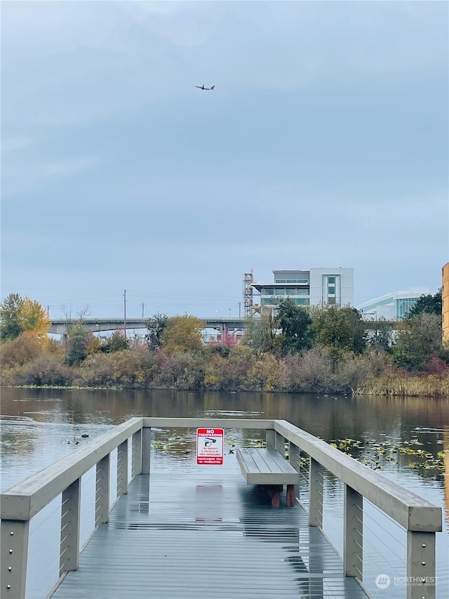 dock area featuring a water view