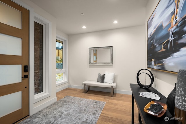 entrance foyer with light hardwood / wood-style floors