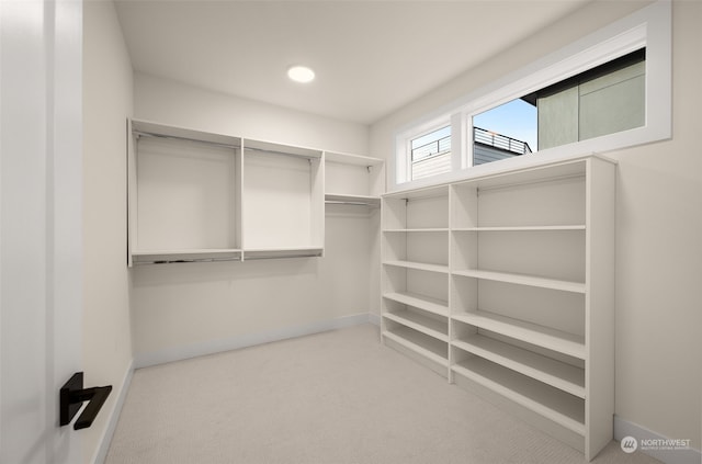 spacious closet featuring carpet floors