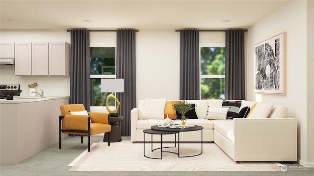 living room featuring light colored carpet