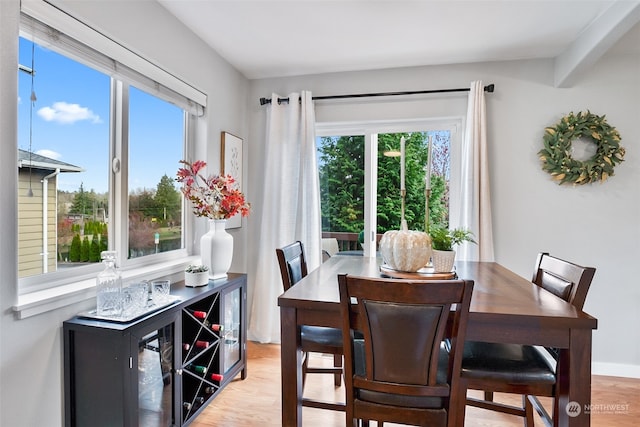 dining area with light hardwood / wood-style flooring