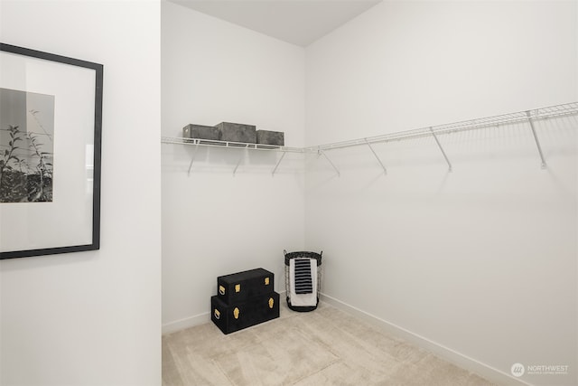 spacious closet featuring carpet flooring