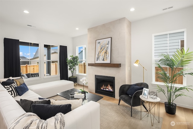 living room featuring a fireplace and light wood-type flooring