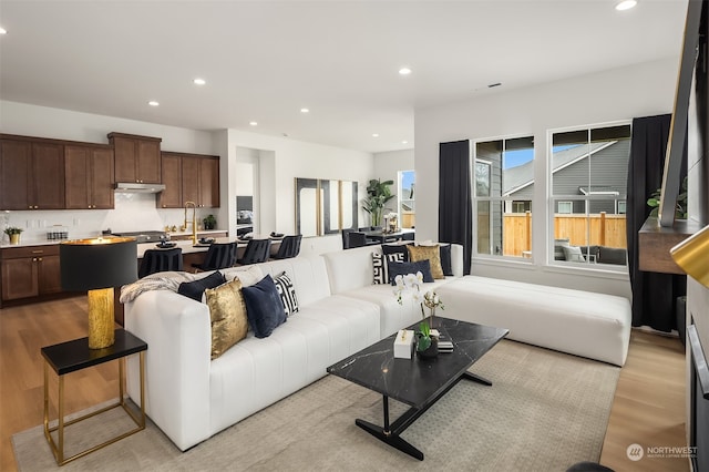 living room featuring light hardwood / wood-style flooring