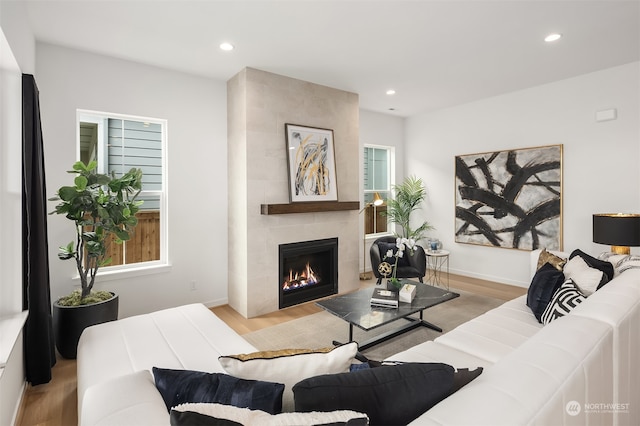 living room with a fireplace, light hardwood / wood-style floors, and a wealth of natural light