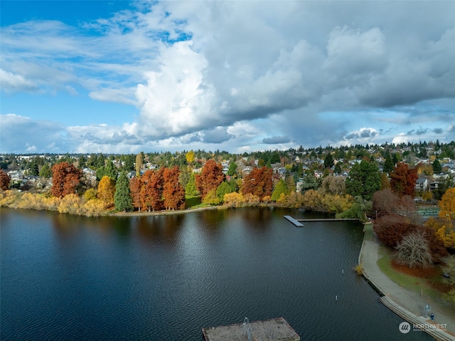 birds eye view of property featuring a water view