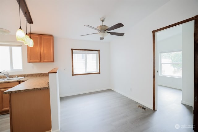 kitchen featuring sink, hanging light fixtures, a healthy amount of sunlight, and light hardwood / wood-style floors