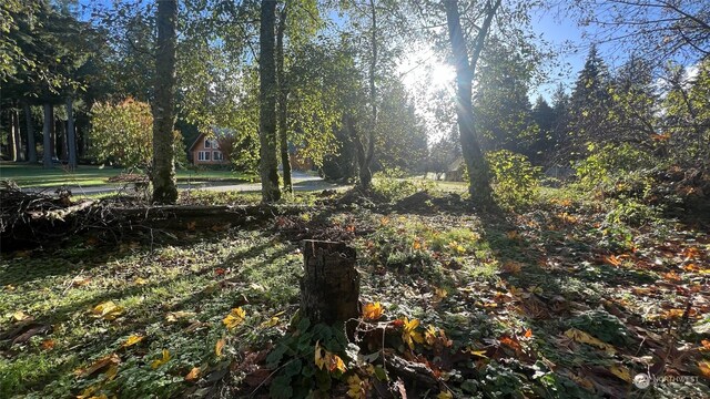 54 A Saratoga Dr, Hat Island, WA 98206 - photo 5