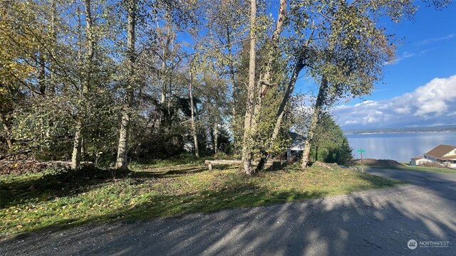 54 A Saratoga Dr, Hat Island, WA 98206 - photo 6