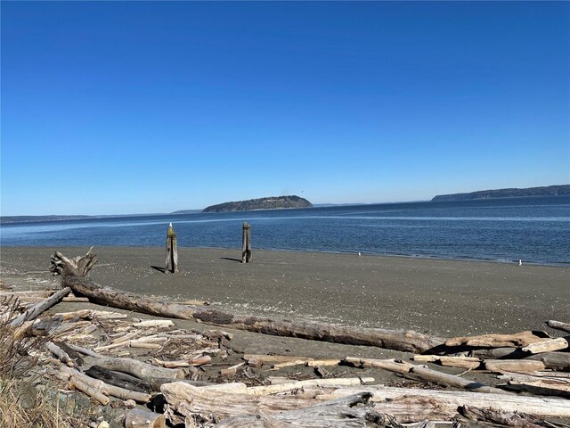54 A Saratoga Dr, Hat Island, WA 98206 - photo 9
