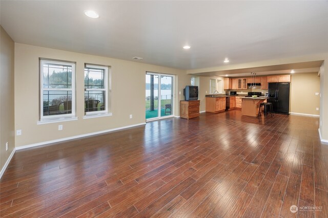 unfurnished living room featuring sink and dark wood-type flooring