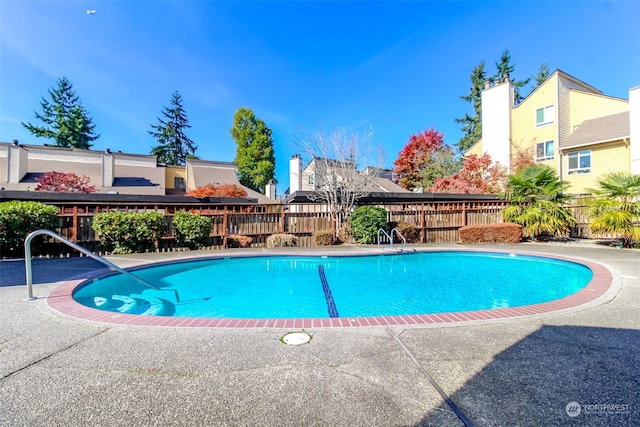 view of pool featuring a patio area