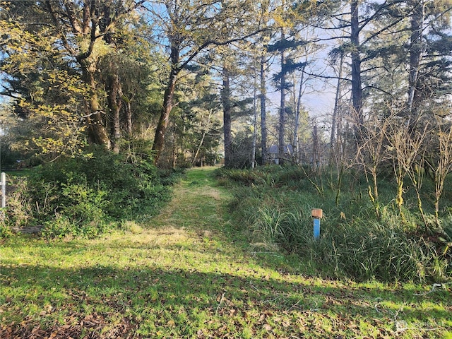 Listing photo 2 for 764 SE Tern Ct, Ocean Shores WA 98569