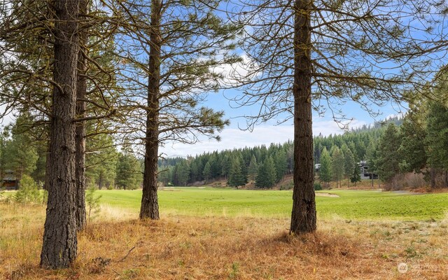 1150 Southern Star Ln, Cle Elum, WA 98922 - photo 4