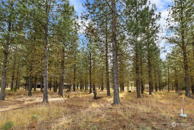 1150 Southern Star Ln, Cle Elum, WA 98922 - photo 11