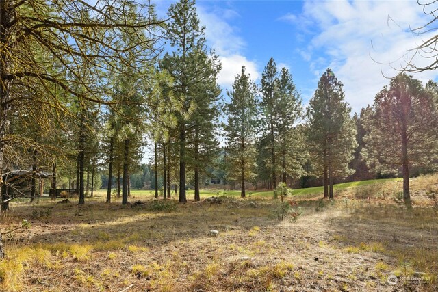 1150 Southern Star Ln, Cle Elum, WA 98922 - photo 5