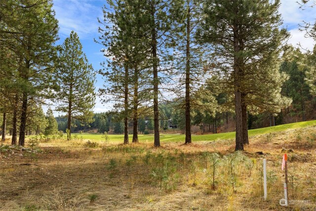 1150 Southern Star Ln, Cle Elum, WA 98922 - photo 6