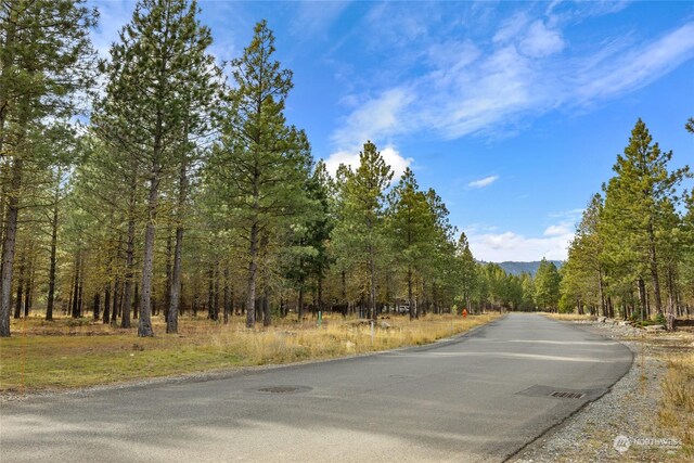 1150 Southern Star Ln, Cle Elum, WA 98922 - photo 16
