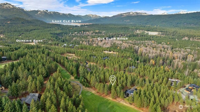 1150 Southern Star Ln, Cle Elum, WA 98922 - photo 20