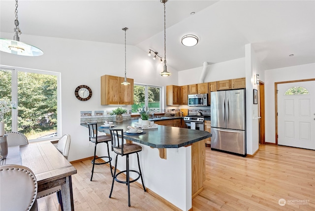 kitchen featuring decorative light fixtures, stainless steel appliances, plenty of natural light, and light hardwood / wood-style floors