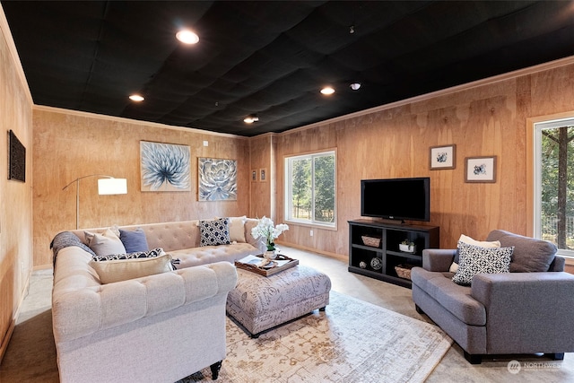 carpeted living room featuring a wealth of natural light and wooden walls