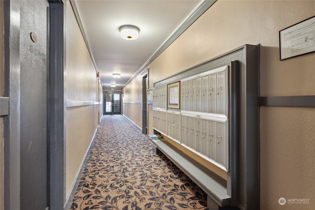 hallway with mail boxes and ornamental molding