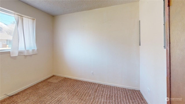 spare room featuring light carpet and a textured ceiling