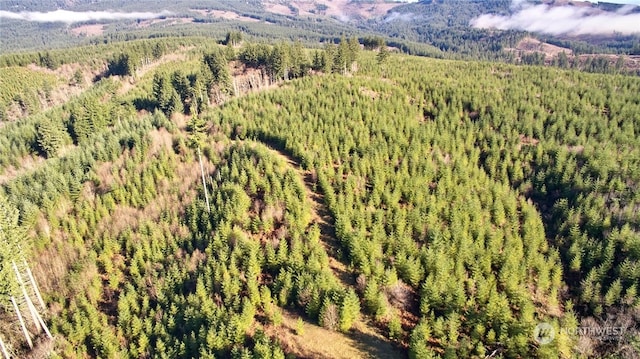 3 NE Jones Creek Rd, Camas, WA 98601