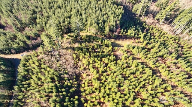 3 NE Jones Creek Rd, Camas, WA 98601