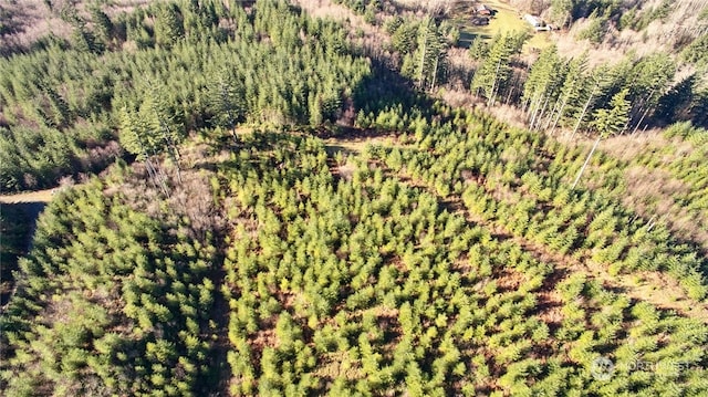 3 NE Jones Creek Rd, Camas, WA 98601