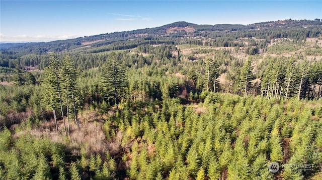 3 NE Jones Creek Rd, Camas, WA 98601