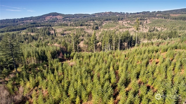 3 NE Jones Creek Rd, Camas, WA 98601