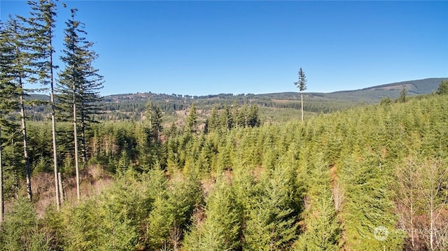 3 NE Jones Creek Rd, Camas, WA 98601