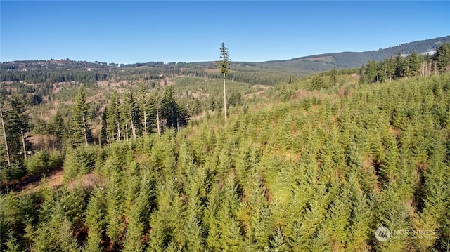 3 NE Jones Creek Rd, Camas, WA 98601