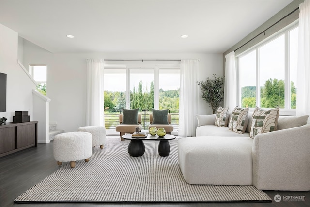 living room featuring a healthy amount of sunlight and dark hardwood / wood-style floors