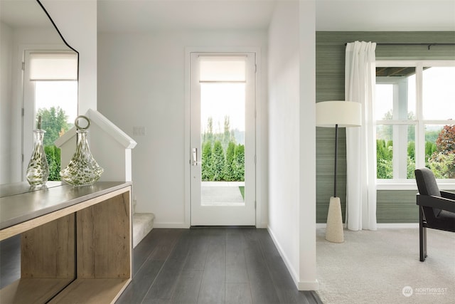 entryway with dark wood-type flooring and a healthy amount of sunlight