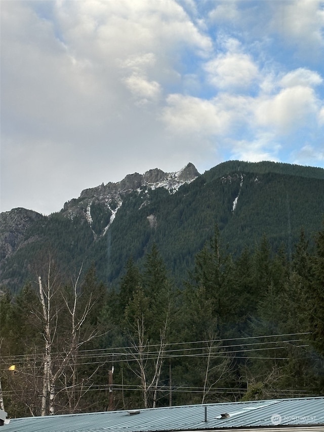 view of mountain feature