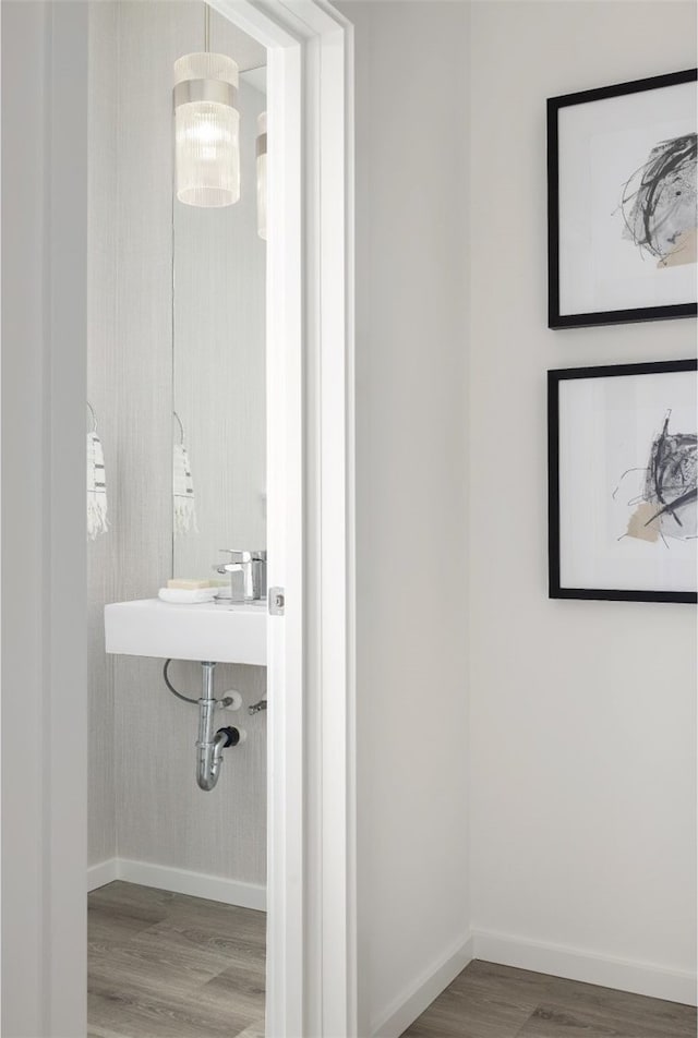 bathroom featuring wood-type flooring